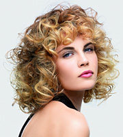 ���������� ���� � ����������� �� ALCINA