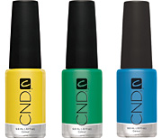 CND ��������� �������� ��������� � �������� �� ������-���� 2012