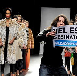 Animal rights activists disrupt Spanish fashion show 