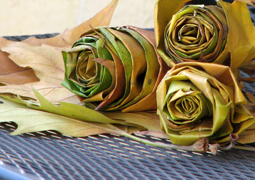 How to make beautiful roses from autumn leaves