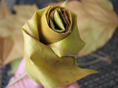 How to make beautiful roses from autumn leaves