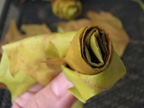 How to make beautiful roses from autumn leaves