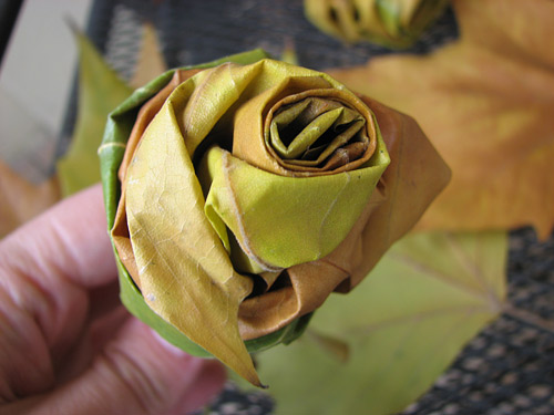 How to make beautiful roses from autumn leaves