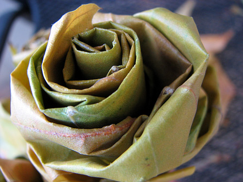 How to make beautiful roses from autumn leaves